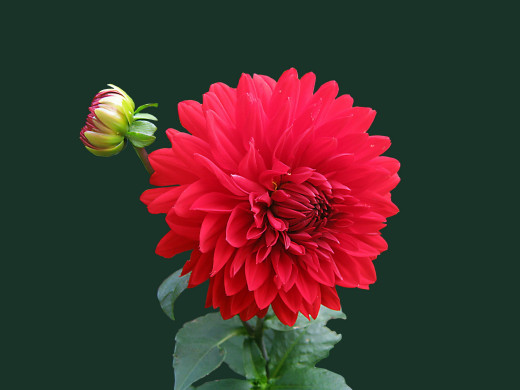 1614955 (a): :2560x1920